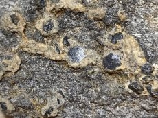 画像3: 岩手県産母岩付きサファイアコランダム (3)