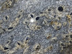 画像7: 岩手県産母岩付きサファイアコランダム (7)
