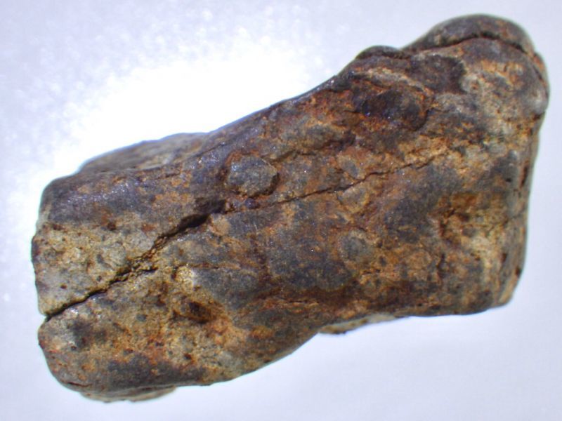 アリゾナ産Ｌ４コンドライト隕石Ｂ - セルフクリエイション