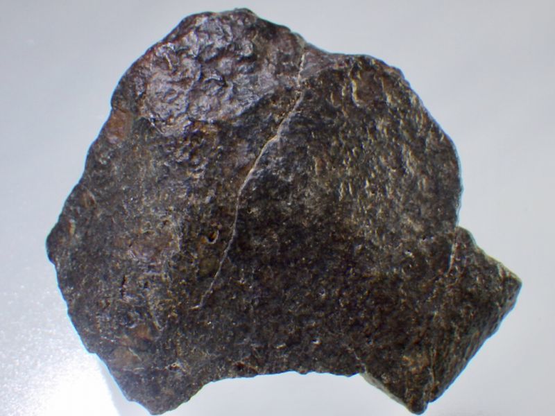 最も優遇 【E20916】石質隕石＊普通コンドライト＊隕石＊Condrite